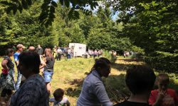 Dorftourismus 2017 Aktion Holzrückerpferde