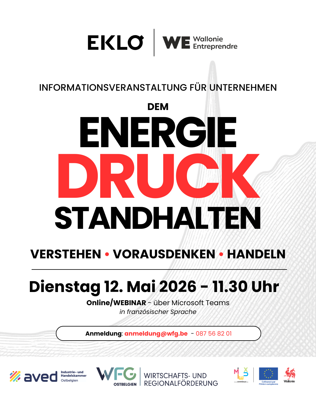 Energiekrise Webinar EKLO_Visual